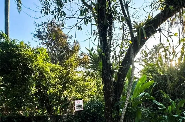 Raridade na Rua 5 – Segundo Lote da Praia