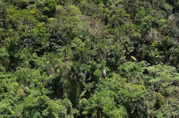LOTE NO FÉLIX COM VISTA PARCIAL DO MAR