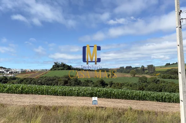 VENDO TERRENO NO BAIRRO FRARON