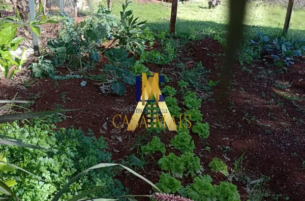 CHACARA PARA VENDA  - LINHA ENCRUZILHADA - PROXIMO AO TREVO DA PATROLINHA- PATO BRANCO -PR