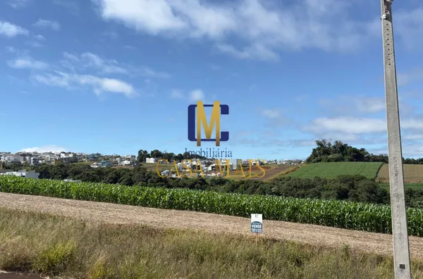 VENDO TERRENO NO BAIRRO FRARON