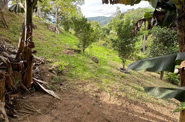 Sítio para venda No Egito, Antônio Carlos/SC