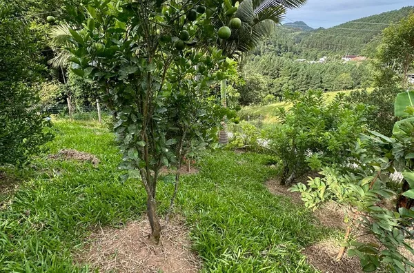Sítio para venda No Egito, Antônio Carlos/SC