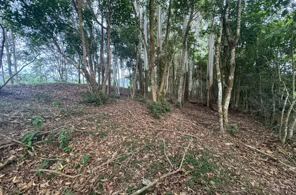 Sítio para venda em Imaruí 