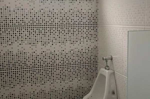 Sítio Encantador em São Pedro De Alcântara