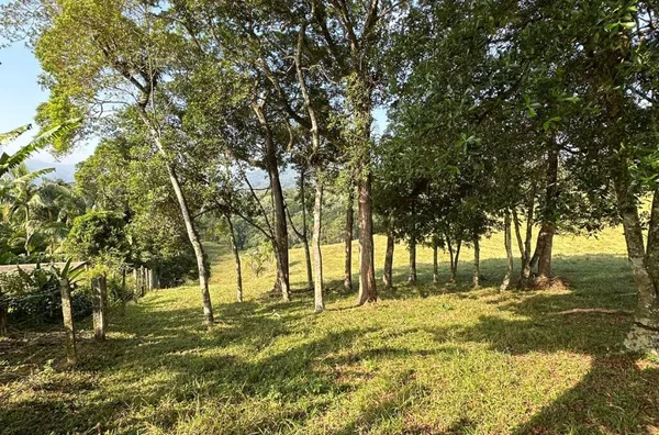 Terreno à Venda em Alto Biguaçu - 38.979,88 m² de Natureza Pura!