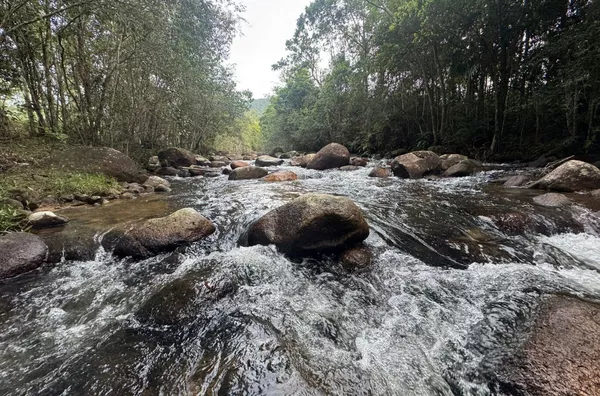 Sítio para venda em Imaruí 
