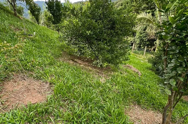 Sítio para venda No Egito, Antônio Carlos/SC