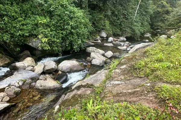 Sítio para venda em Antônio Carlos Bairro Vila Doze, Antônio Carlos