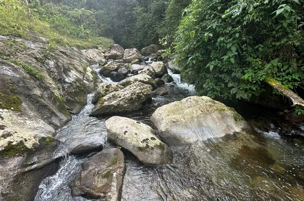 Sítio para venda em Antônio Carlos Bairro Vila Doze, Antônio Carlos