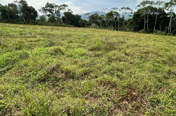 Sítio à venda em Biguaçu, bairro Rússia, fácil acesso ao Rodoanel.
