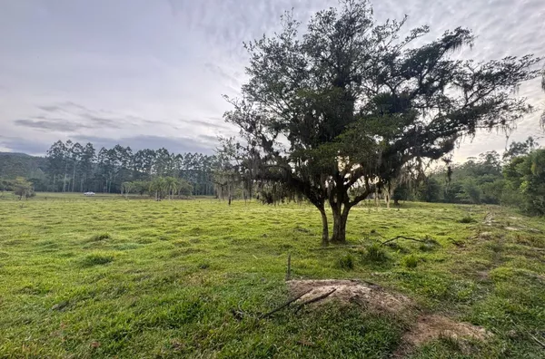 Sítio para venda em Imaruí 