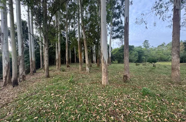 Sítio para venda em Imaruí 