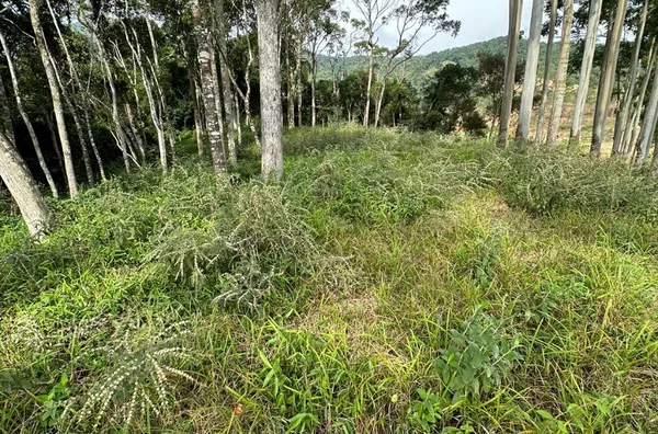 Sítio à venda em Biguaçu, bairro Rússia, fácil acesso ao Rodoanel.