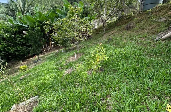 Sítio para venda No Egito, Antônio Carlos/SC