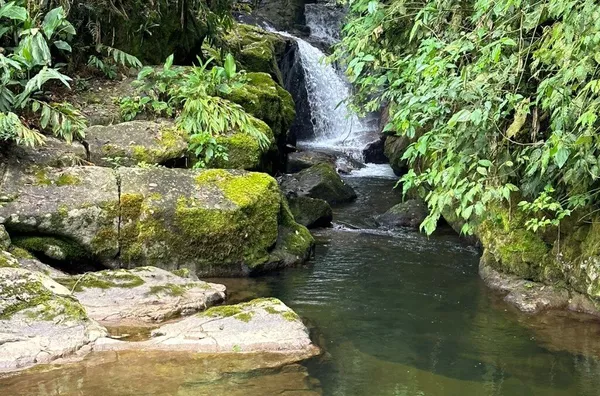 Sítio para venda em Antônio Carlos Bairro Vila Doze, Antônio Carlos