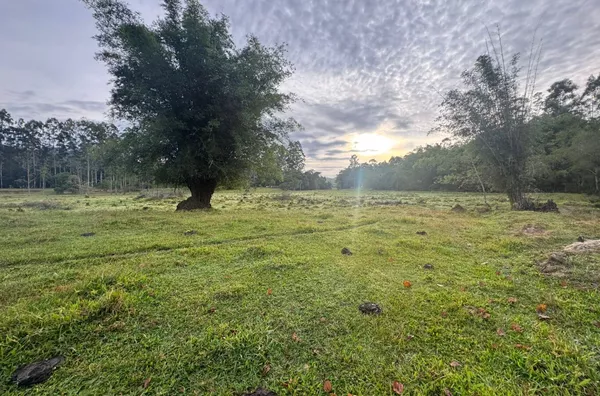 Sítio para venda em Imaruí 