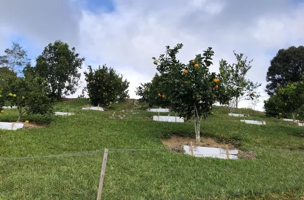 Sítio Encantador em São Pedro De Alcântara