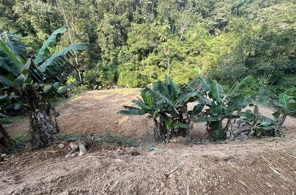 Sítio para venda em Antônio Carlos Bairro Vila Doze, Antônio Carlos