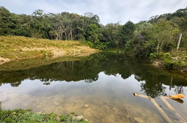 Sítio para venda, na Rocinha em São Pedro De Alcântara