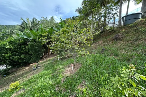 Sítio para venda No Egito, Antônio Carlos/SC