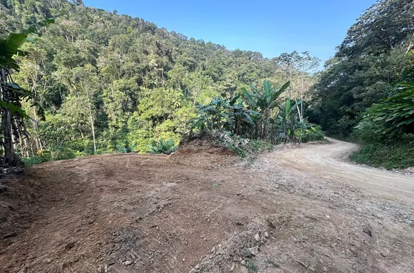 Sítio para venda em Antônio Carlos Bairro Vila Doze, Antônio Carlos