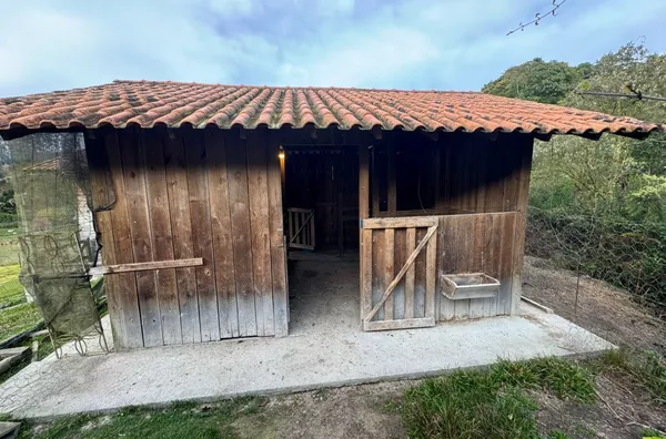 Sítio para venda, na Rocinha em São Pedro De Alcântara