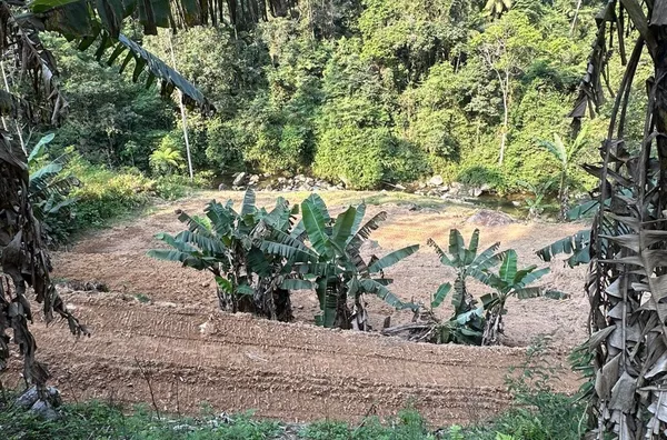 Sítio para venda em Antônio Carlos Bairro Vila Doze, Antônio Carlos