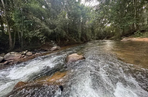 Sítio para venda em Imaruí 