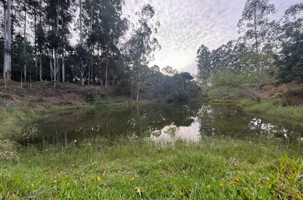 Sítio para venda em Imaruí 