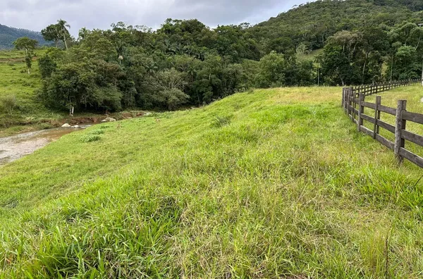 Sítio para venda,  Rachadel, Antônio Carlos