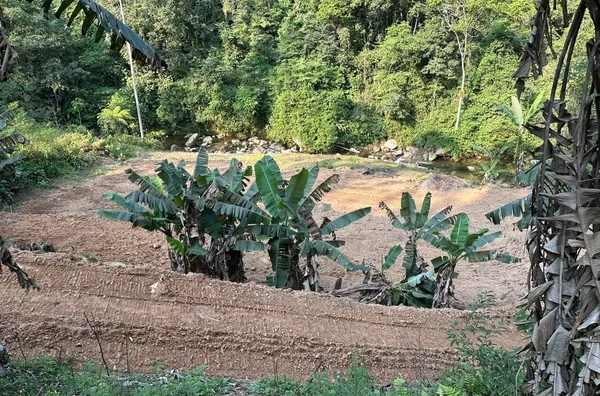 Sítio para venda em Antônio Carlos Bairro Vila Doze, Antônio Carlos