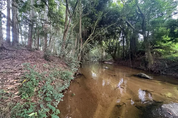 Sítio para venda em Imaruí 