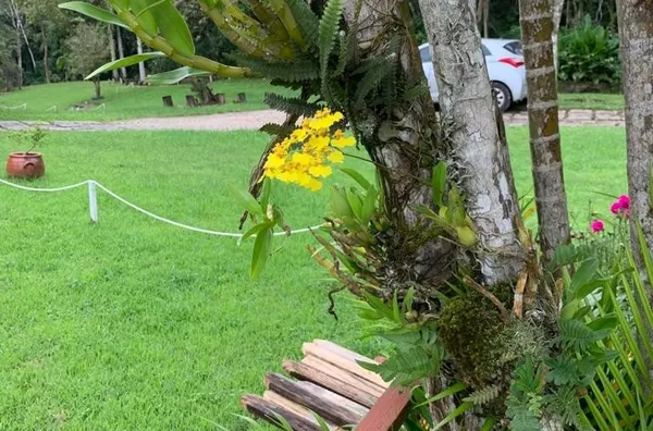 Lindo sítio no bairro Guiomar De Baixo, Antônio Carlos/SC