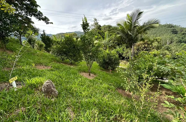 Sítio para venda No Egito, Antônio Carlos/SC
