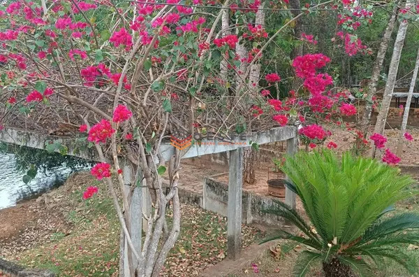 Terreno para venda,  - Selecione - Bairro, Barreiras