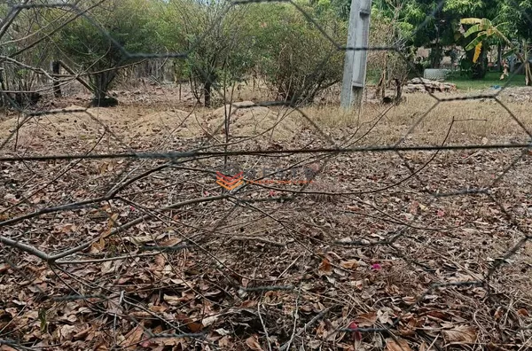 Terreno para venda, - Selecione - Bairro, Barreiras - Foto 10