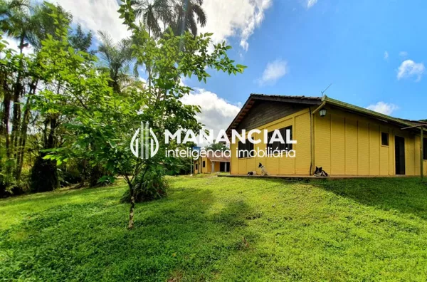 Sítio produzindo palmito pupunha