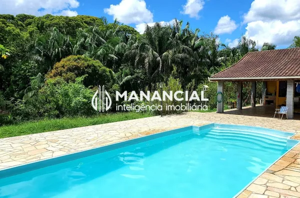 Sítio produzindo palmito pupunha