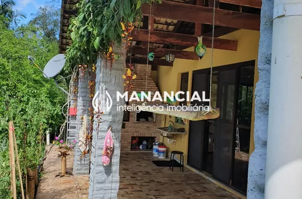 Sítio produzindo palmito pupunha