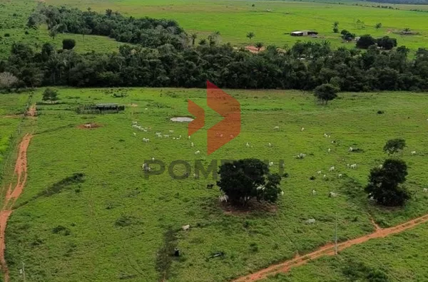 FAZENDA À VENDA, BRASNORTE 