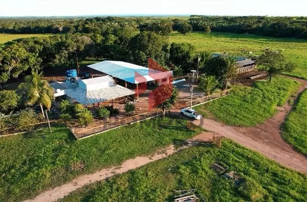 FAZENDA À VENDA — NOBRES/MT