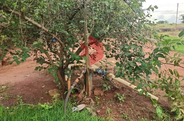 SÍTIO À VENDA PROX. DE TANGARÁ