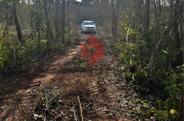 PESQUEIRO À VENDA 