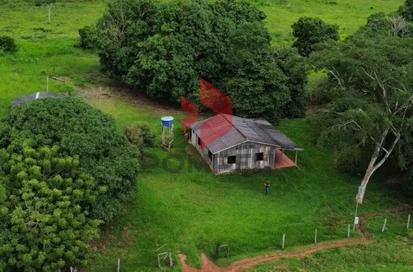 FAZENDA À VENDA, BRASNORTE 