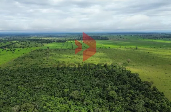 FAZENDA À VENDA, BRASNORTE 