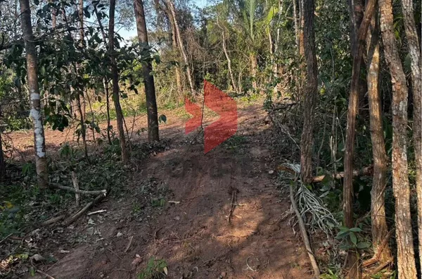 PESQUEIRO À VENDA 