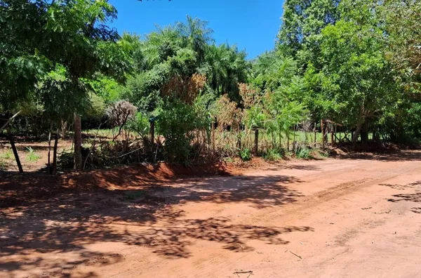 Terreno para venda,  Cinturão Verde, Primavera