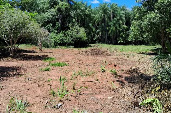 Terreno para venda,  Cinturão Verde, Primavera