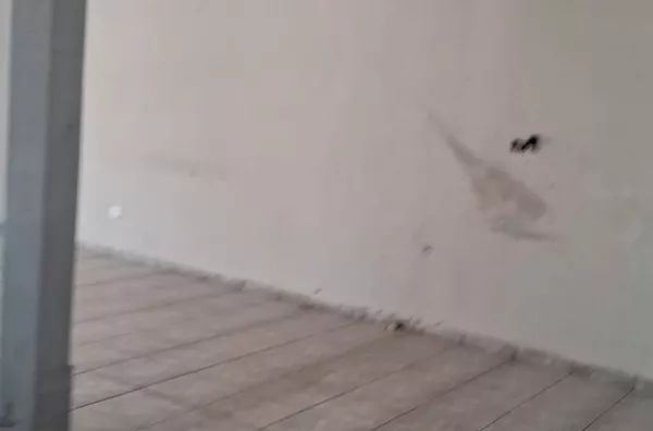 Comercial Sala para aluguel Quadra 102 Primavera